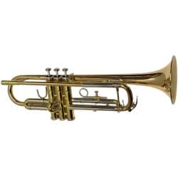 Arnolds Terra 4200G Trumpet