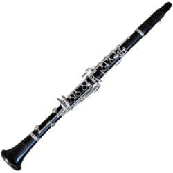 Arnolds ACL-1806G Grenadilla Bb Clarinet