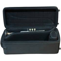 Andreas Eastman Double Trumpet Case