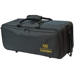 Andreas Eastman Double Trumpet Case