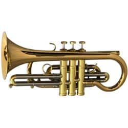 Schagerl 620L Bb Cornet