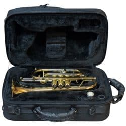 Schagerl Cornet Case