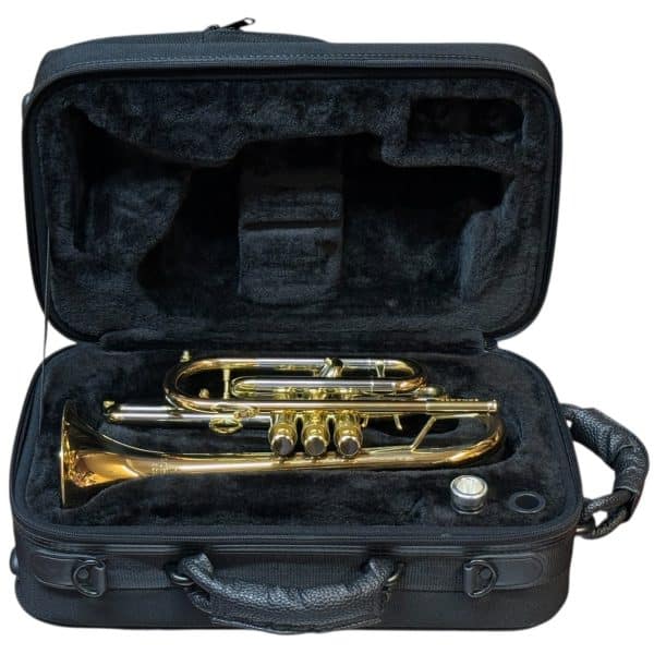 Schagerl Cornet Case