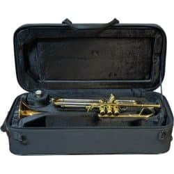 Schagerl Trumpet Case