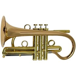 Taylor Orpheus Bb Cornet