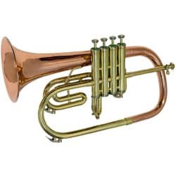 Second Hand Blessing Artist 4 Valve Flugel