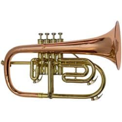 Second Hand Blessing Artist 4 Valve Flugel Horn