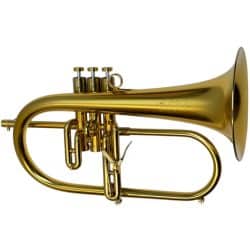 Adams Custom F3 Flugelhorn
