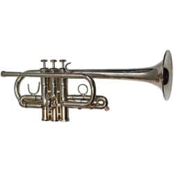 Second Hand Arnolds Terra EbD Trumpet