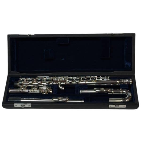 Festivo Curved & Straight Head Flute Outfit