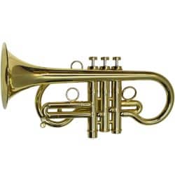 Second Hand CarolBrass 7775-YSS Eb Cornet