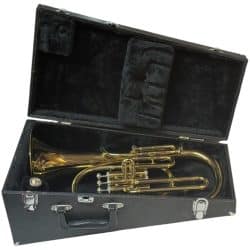 Second Hand Earlham Tenor Horn Outfit