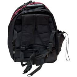 Jupiter back-pack flute case rear view