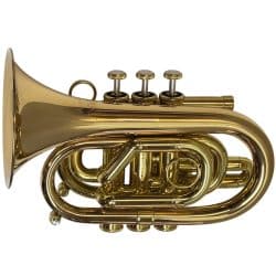 Second Hand CarolBrass Pocket Trumpet