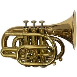 Second Hand CarolBrass Pocket Trumpet