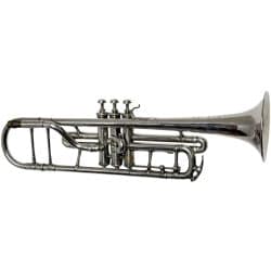 Vintage Mahillon Long Cornet