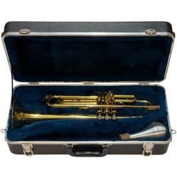 Inside SKB Rectangular Trumpet Case