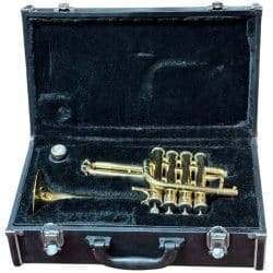 Second Hand Huashen Piccolo Trumpet Outfit