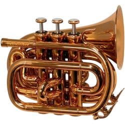 carolbrass-1000-yss-bb-rr-mini-pocket-cornet