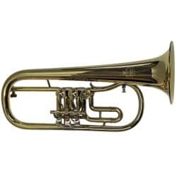 Amati Rotary Valve Flugel