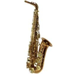 Yanagisawa AWO2 Alto Saxophone