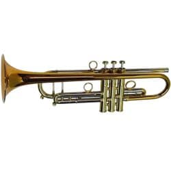 CarolBrass CTR-6280H-PSM rumpet