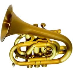CarolBrass CPT-7000-GLS-SL Dizzy Pocket Trumpet