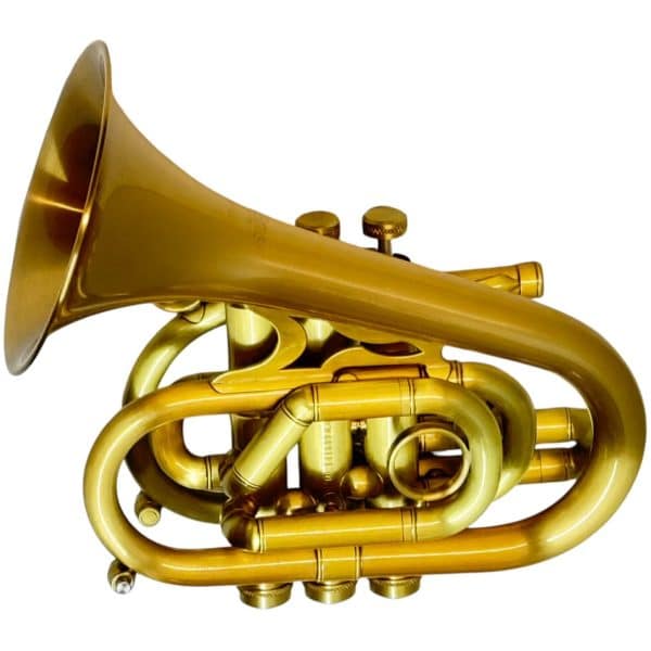 CarolBrass CPT-7000-GLS-SL Dizzy Pocket Trumpet